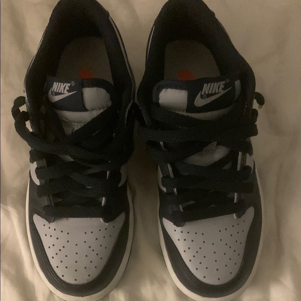 Nike Classic Dunk Style